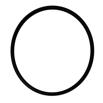 384800-16 Cylinder Top Cover Large 'O' Ring